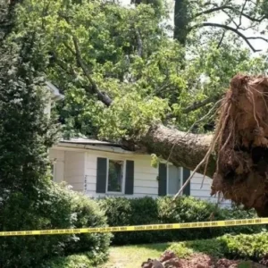 Storm Wind Damage Repair - Restoration Services in Lexington, KY