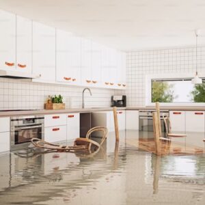 Home Restoration Services in Lexington, KY