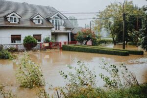 Restoration Services in Lexington, KY