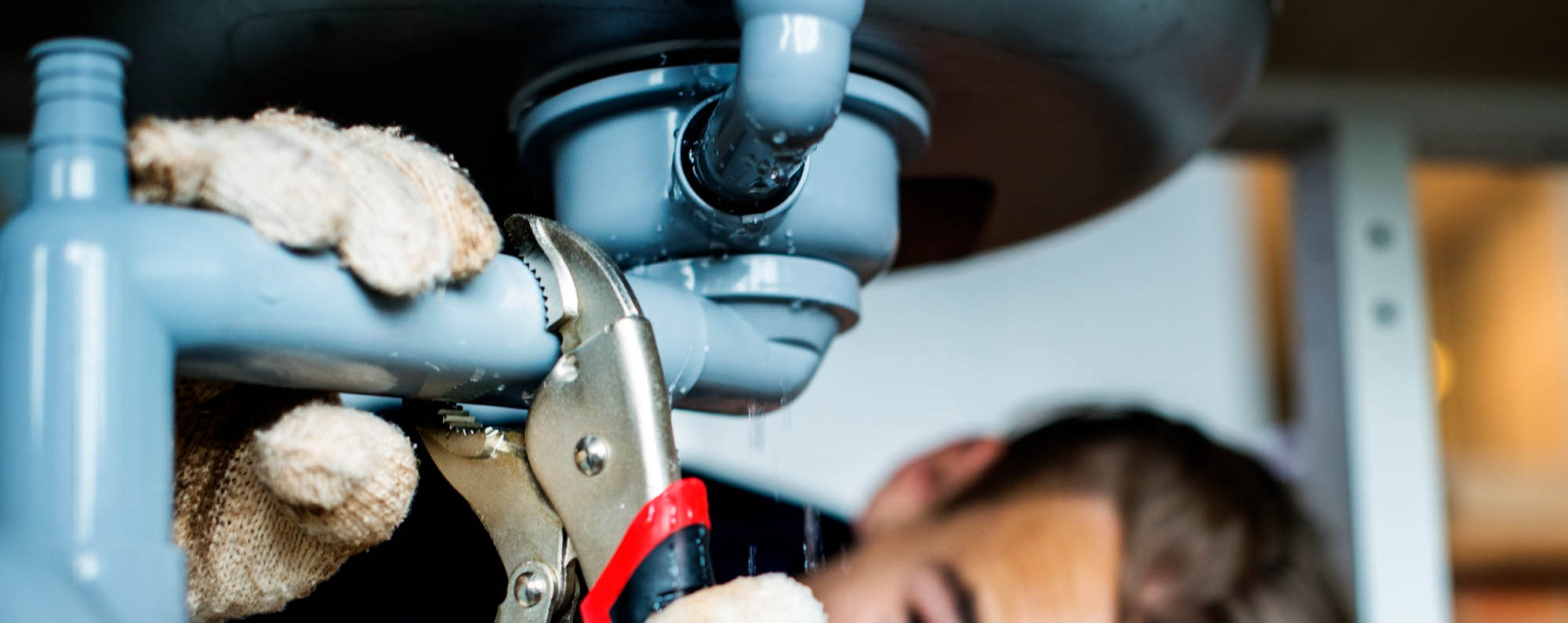 Restoration Services in Lexington, KY